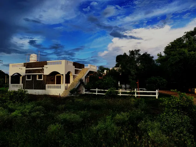 Vriksh Jawai The farm stay