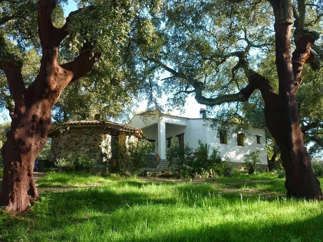 Bed El Chaparral de Aracena