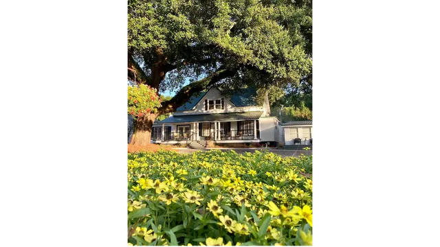 The Bay House & Bungalows of Fairhope