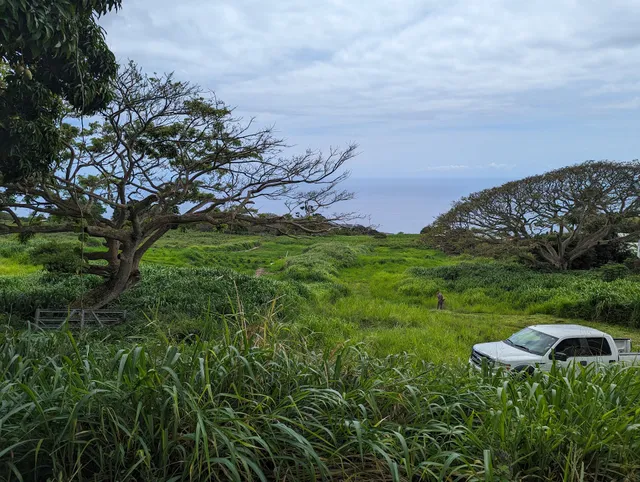 Hale Cocoa Cafe & Kona Chocolate Farm Tour