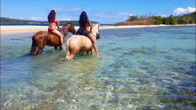 Jurutungo Farm & Sanctuary