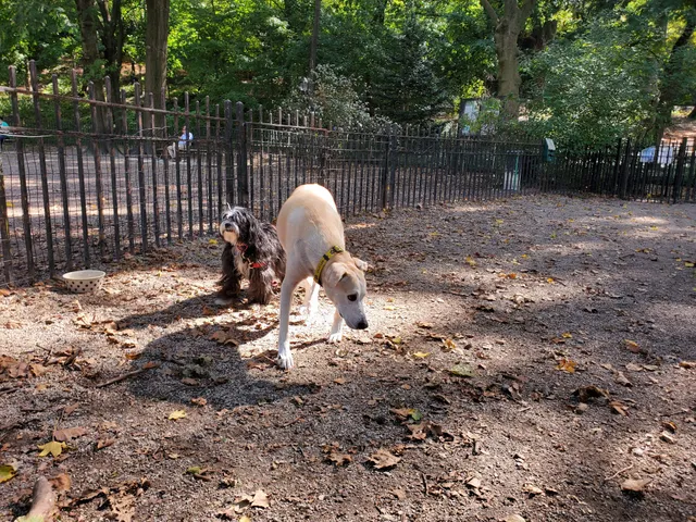 105th Street Dog Run