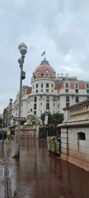 Festival International du Film Ecologique et Social Cannes ( FIFES )