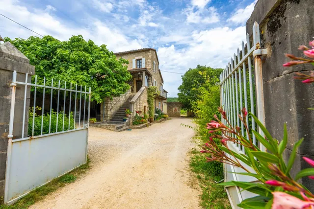 Domaine vigne - Vin Bio en Ardèche - Organic Wine