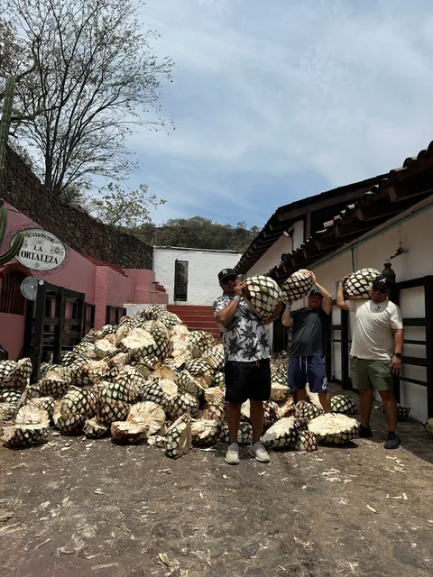 Tequila Los Abuelos - Oficinas & Tours (by appt only)