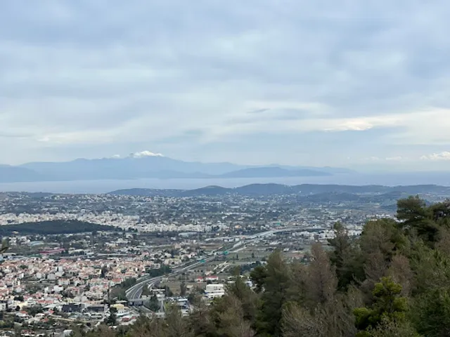 Opus coffee and more