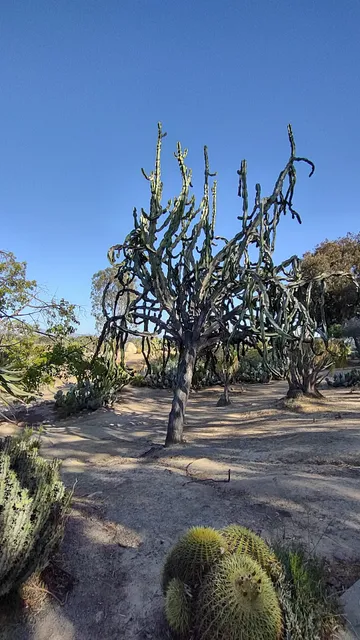 Rose and Cactus Gardens