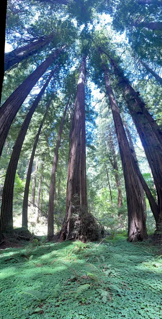 1 Muir Woods Rd Parking