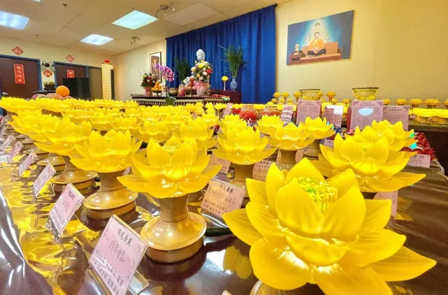 Bodhi Meditation Boston USA 菩提禪修美國波士頓