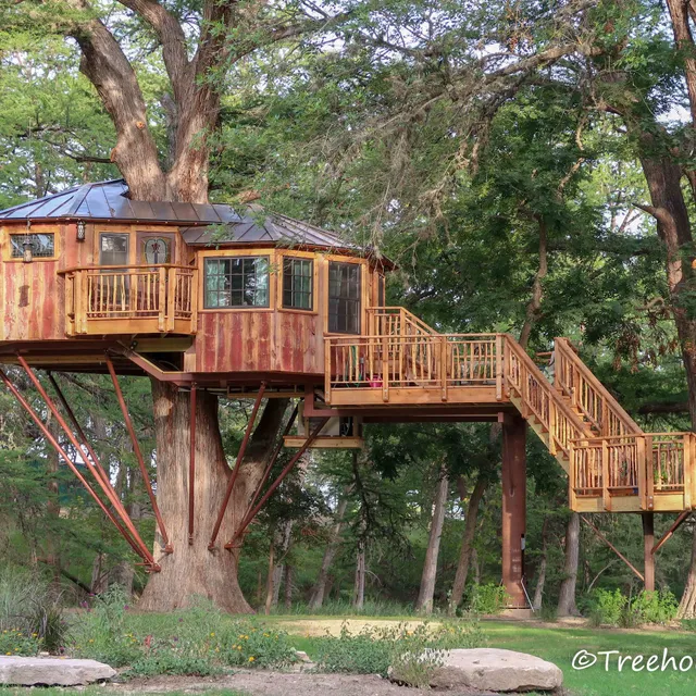 Treehouse Utopia