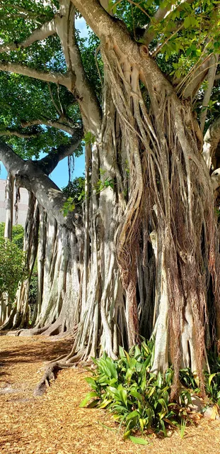 Lee County Justice Complex Center