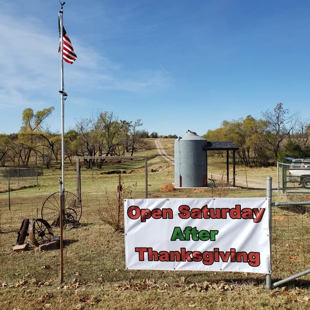Wonderland farms Live Christmas tree Farm