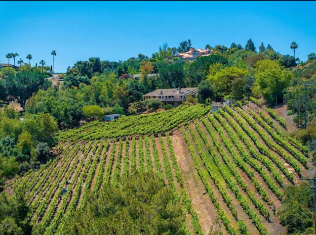 Hidden Meadows Vineyard