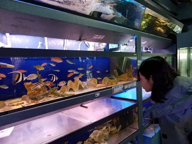 Hikaru Aquarium