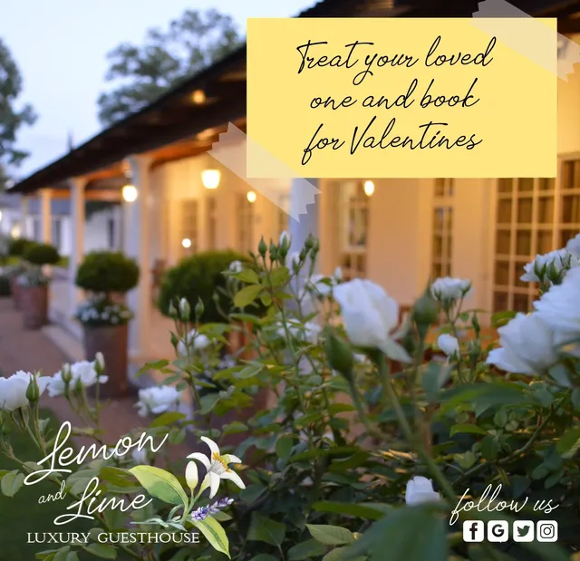 Lemon and Lime Guesthouse | Accommodation Bloemfontein