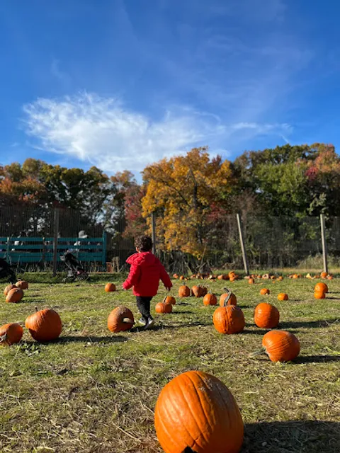 Historic Richmond Town's Decker Farm