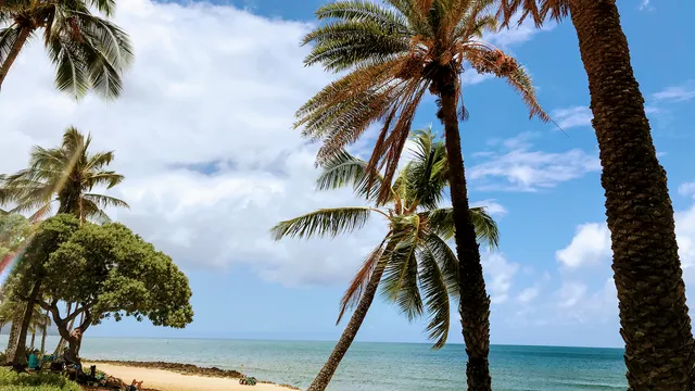 aqua nails & massage