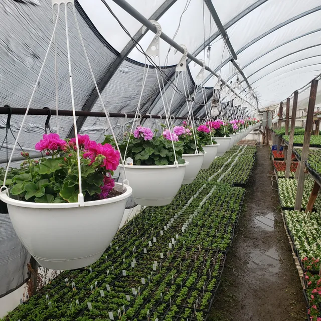 Rock's Farm And Garden