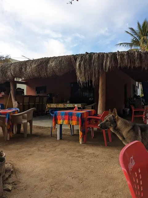 Taqueria “Lily’s”