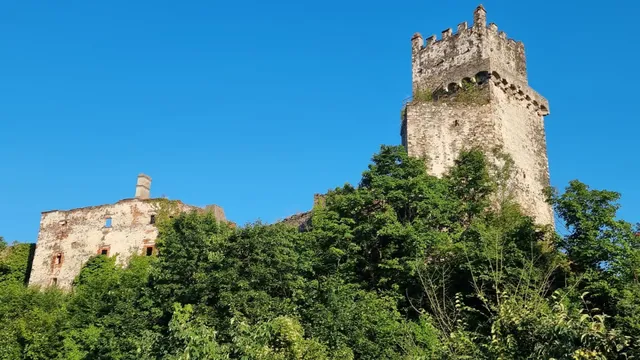 Frühstückspension Kammerer "Zum Grünen Baum"