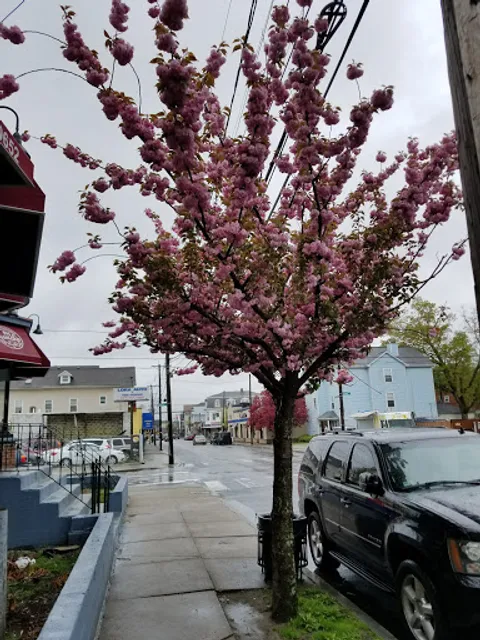 Tienda Panaderia xoyita
