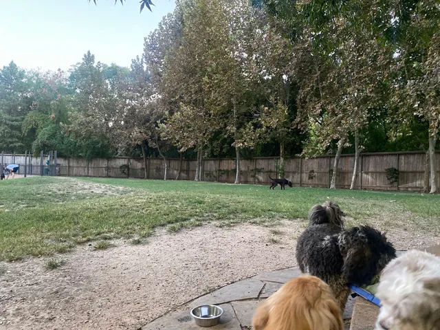 Park for Humans and Dogs