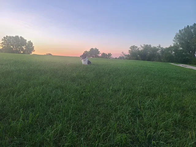 Sun Prairie Pet Exercise Area