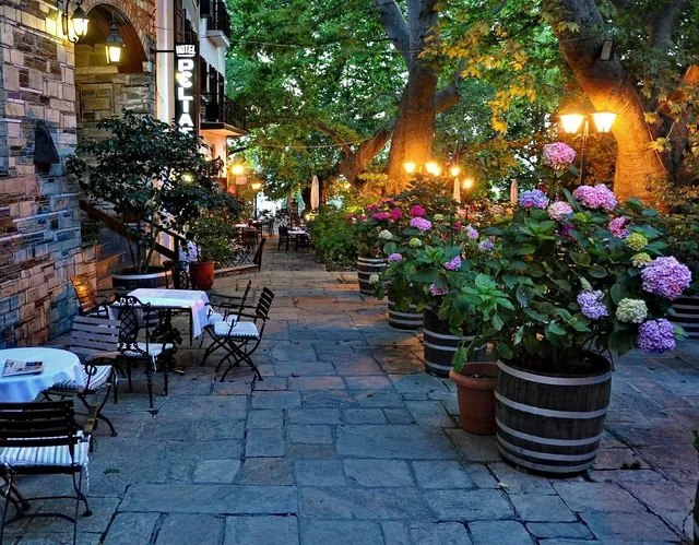 Ξενοδοχείο Πελίας