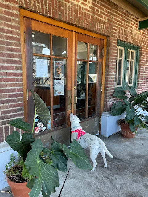 The Good Witch Coffee Bar