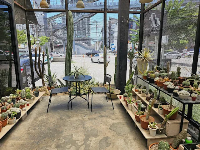 Same Cafe (former CACTUS CAFE)