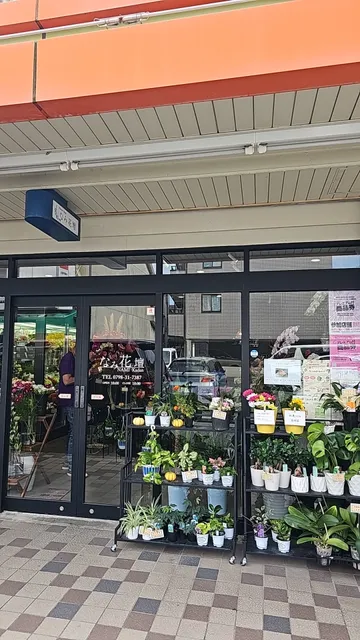 なみ花壇【完全予約制花屋】