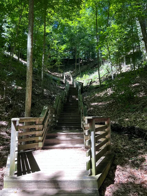 Sanctuary Woods Preserve