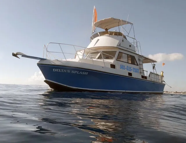 Delta's Splash Dive Charter