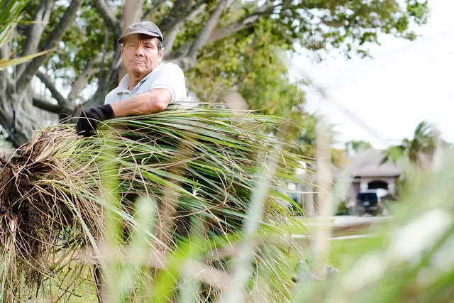 El Sol, Jupiter's Neighborhood Resource Center