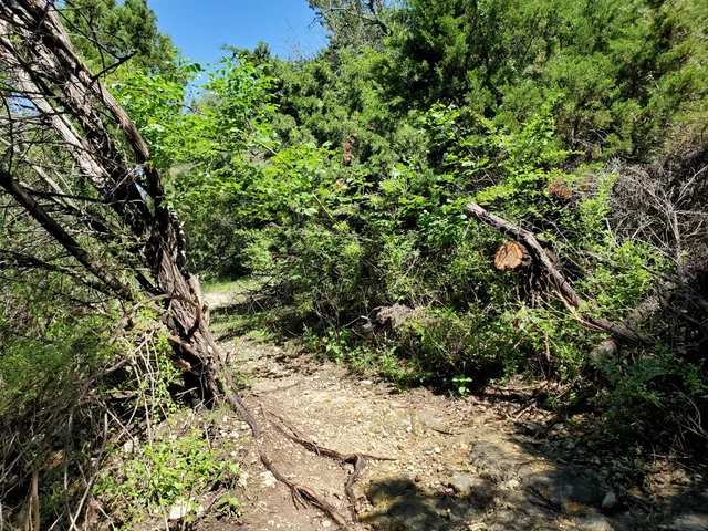 Steck Valley Greenbelt