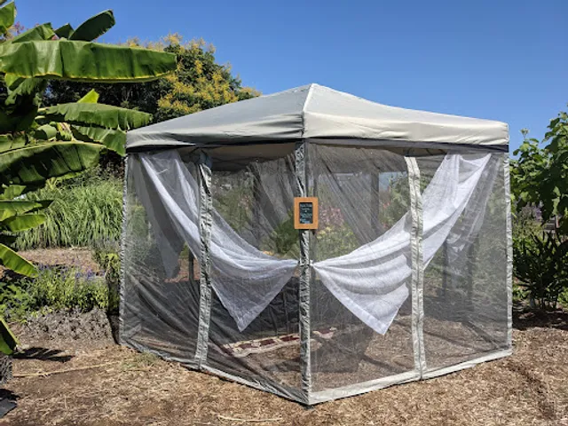 Better Flow Bodywork