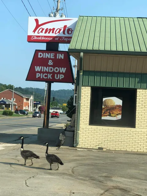 Yamato Steak House of Japan