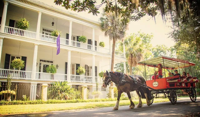 Sea Island Carriage Company