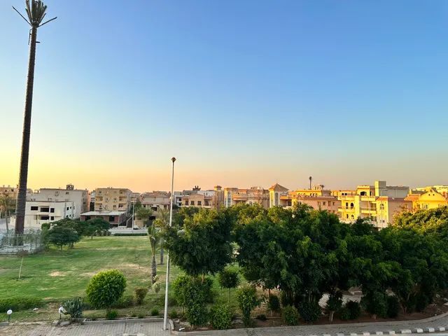 البنفسج التجمع الاول