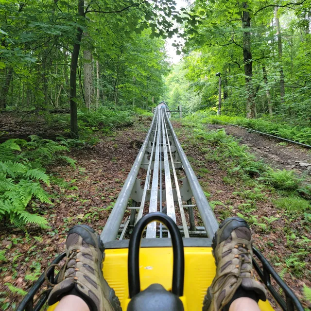Nor'easter Mountain Coaster