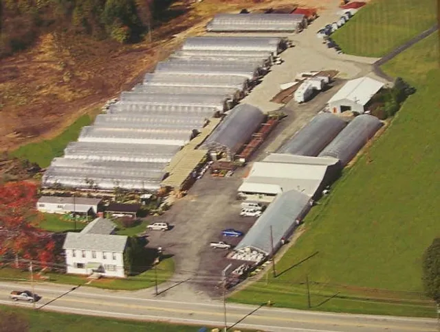 Miller's Greenhouses & Flower Shop