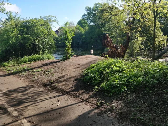 Wildwood Nature Reserve