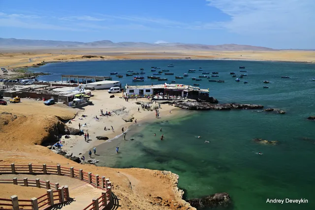 Playa Lagunilla de las Algas