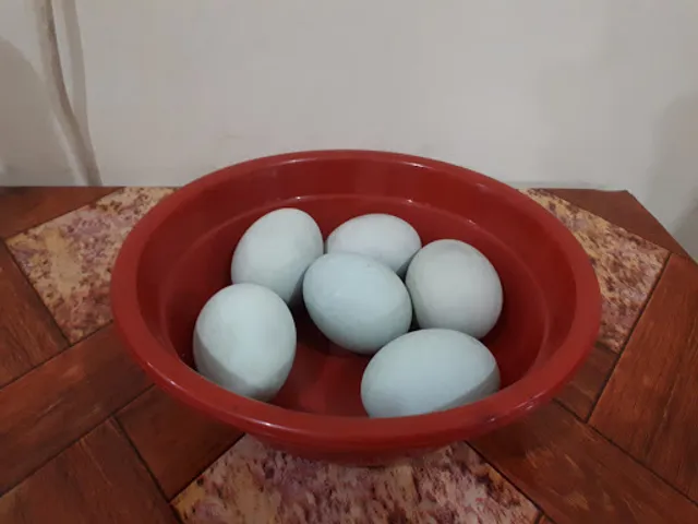 Bubur Ayam 89 Koh Pe'i