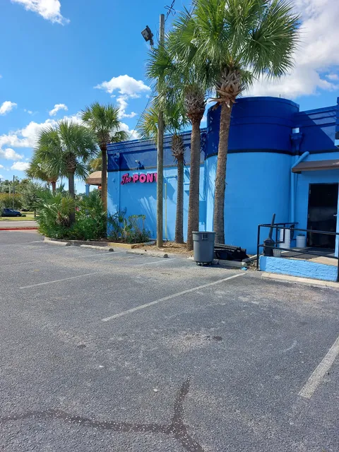 The Pony - Pensacola Gentlemen's Club