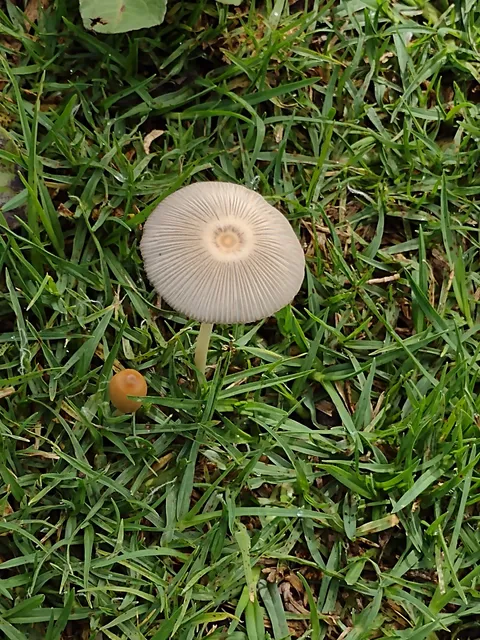 Hotel La Estancia de Paco