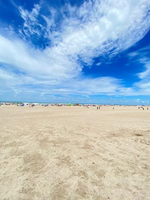 Mar azul bosque y playa