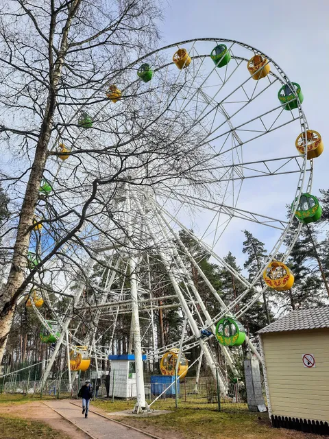 Zelenogorsk Ferris wheel