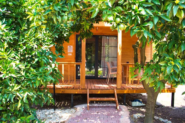 Adrasan Gizemli Bungalov