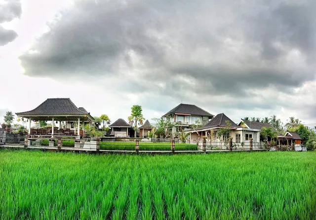 Wayan Junaedi's Homestay